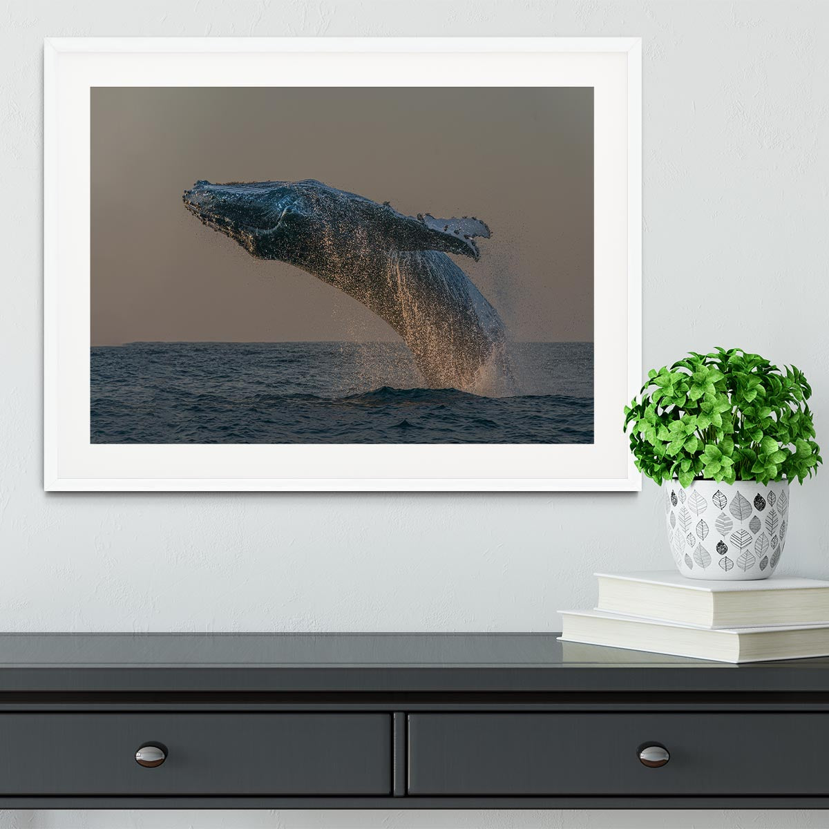 Whale Fliiping Out The Ocean Framed Print - Canvas Art Rocks - 5