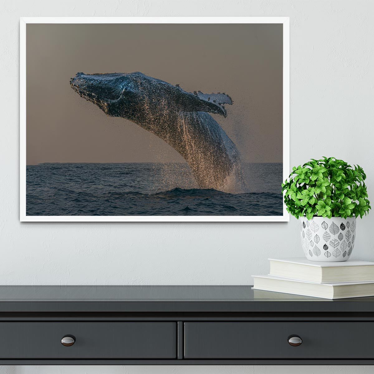 Whale Fliiping Out The Ocean Framed Print - Canvas Art Rocks -6