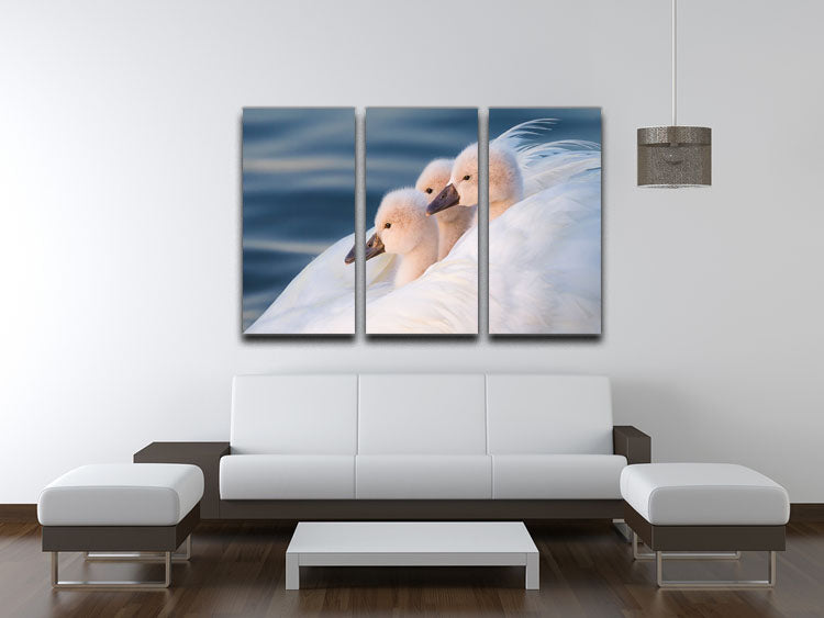 Three White Swans 3 Split Panel Canvas Print - Canvas Art Rocks - 3