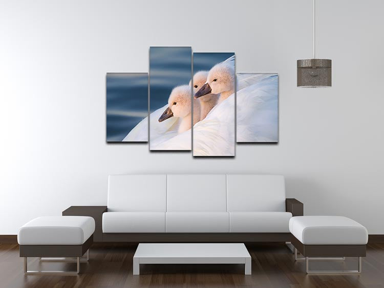 Three White Swans 4 Split Panel Canvas - Canvas Art Rocks - 3