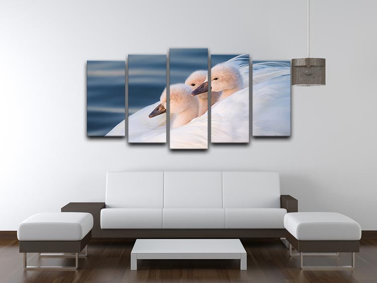 Three White Swans 5 Split Panel Canvas - Canvas Art Rocks - 3