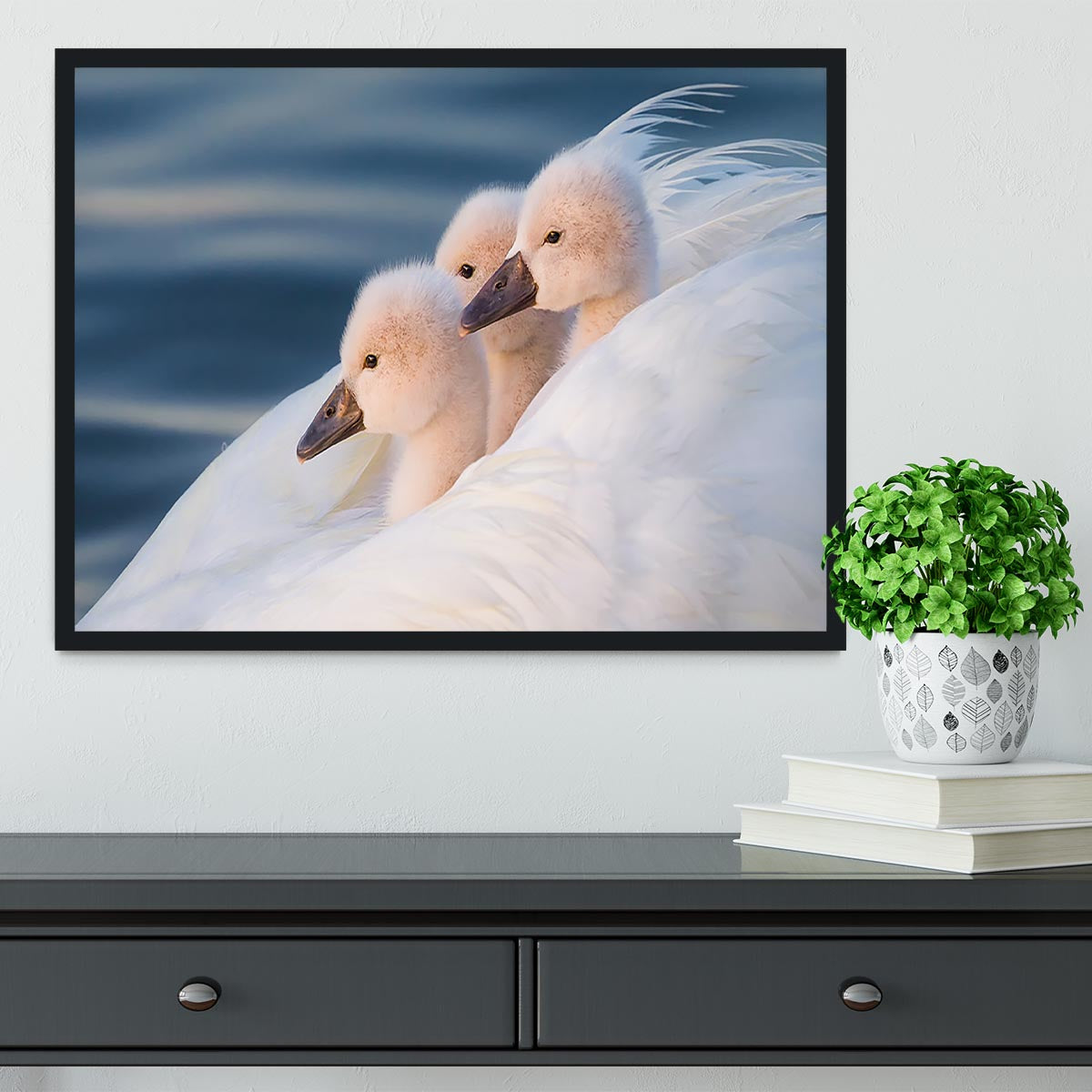 Three White Swans Framed Print - Canvas Art Rocks - 2