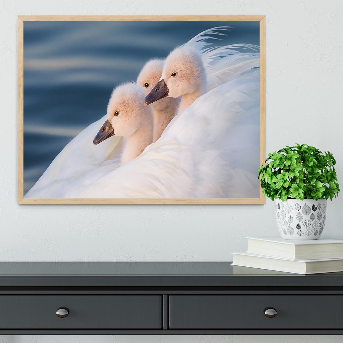 Three White Swans Framed Print - Canvas Art Rocks - 4