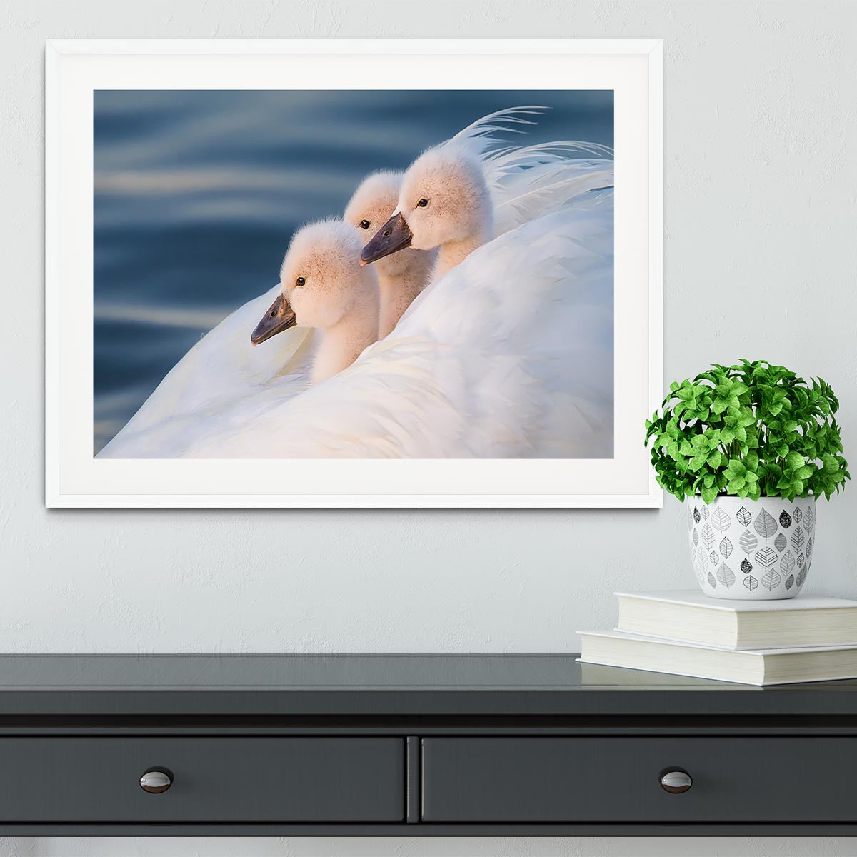 Three White Swans Framed Print - Canvas Art Rocks - 5