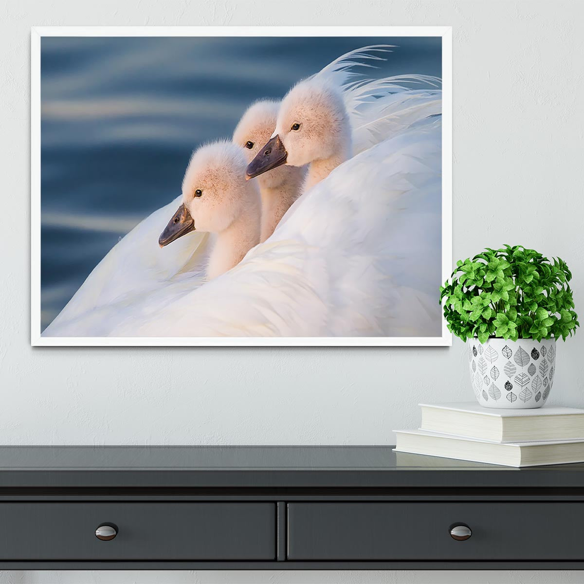 Three White Swans Framed Print - Canvas Art Rocks -6
