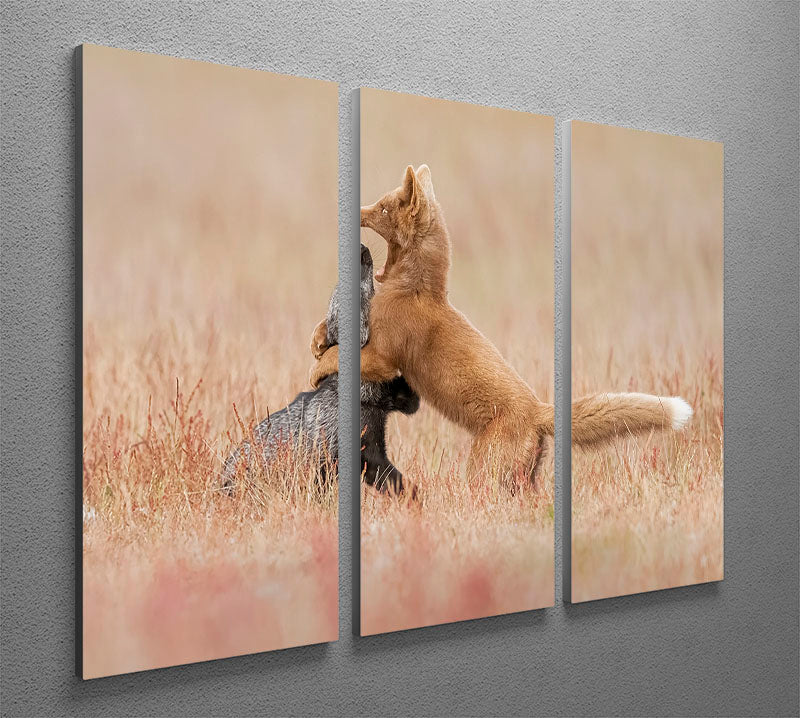 Two Foxes Playing In The Grass 3 Split Panel Canvas Print - Canvas Art Rocks - 2
