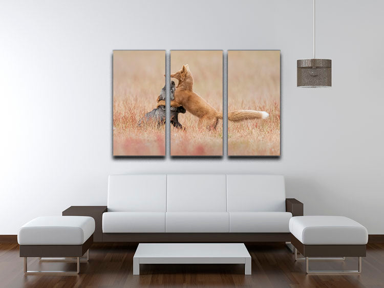 Two Foxes Playing In The Grass 3 Split Panel Canvas Print - Canvas Art Rocks - 3