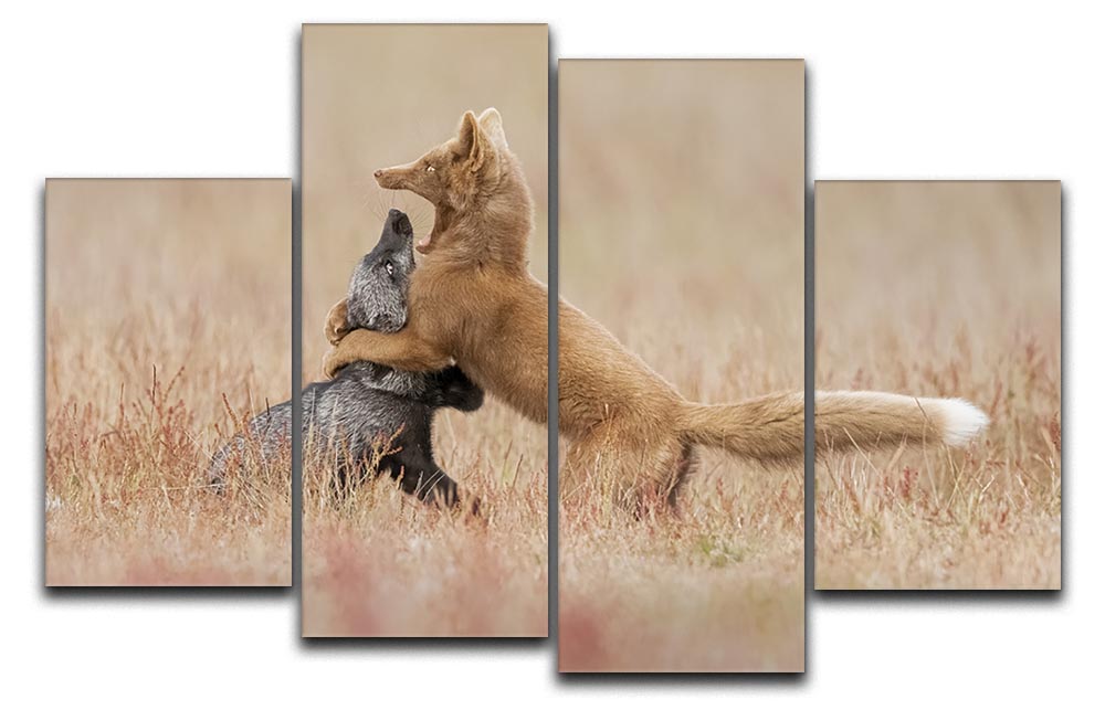Two Foxes Playing In The Grass 4 Split Panel Canvas - Canvas Art Rocks - 1