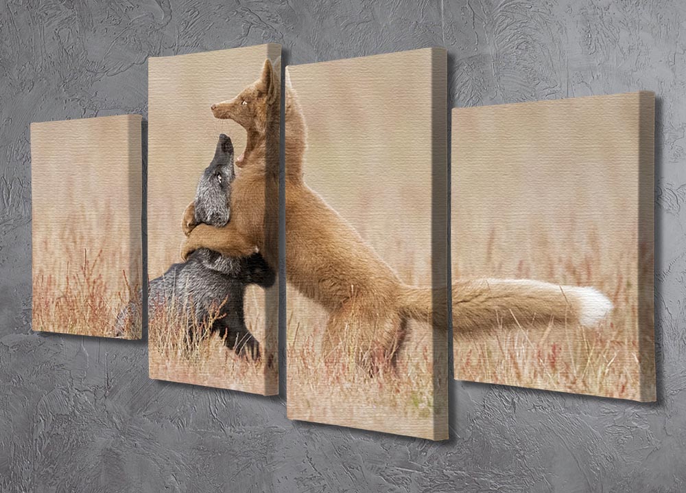 Two Foxes Playing In The Grass 4 Split Panel Canvas - Canvas Art Rocks - 2