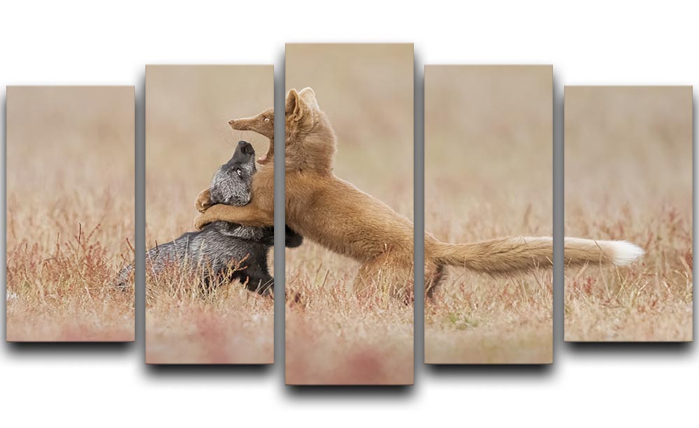 Two Foxes Playing In The Grass 5 Split Panel Canvas - Canvas Art Rocks - 1