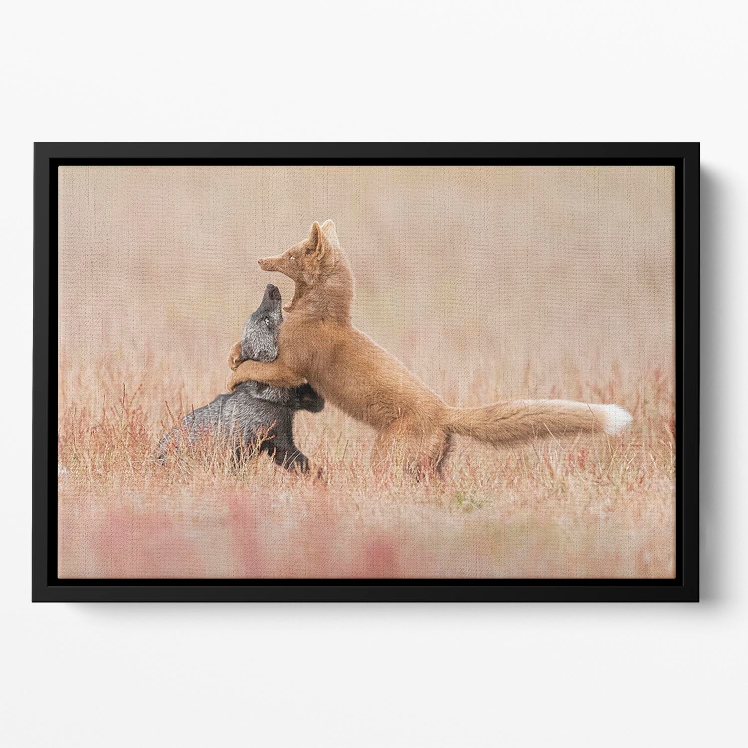 Two Foxes Playing In The Grass Floating Framed Canvas - Canvas Art Rocks - 2