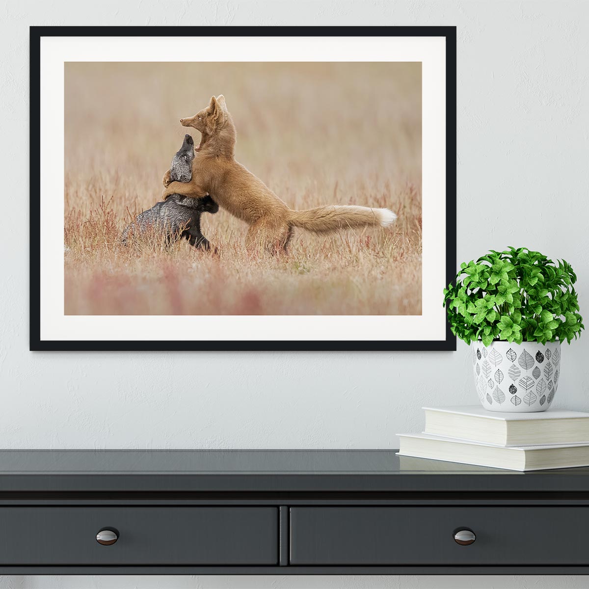 Two Foxes Playing In The Grass Framed Print - Canvas Art Rocks - 1