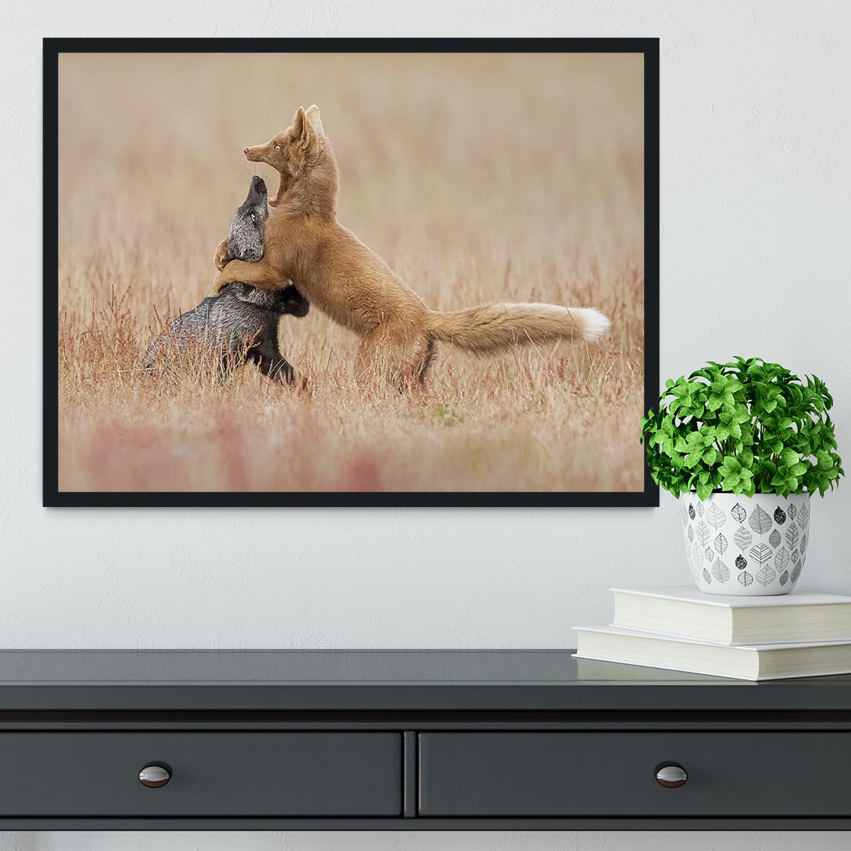 Two Foxes Playing In The Grass Framed Print - Canvas Art Rocks - 2