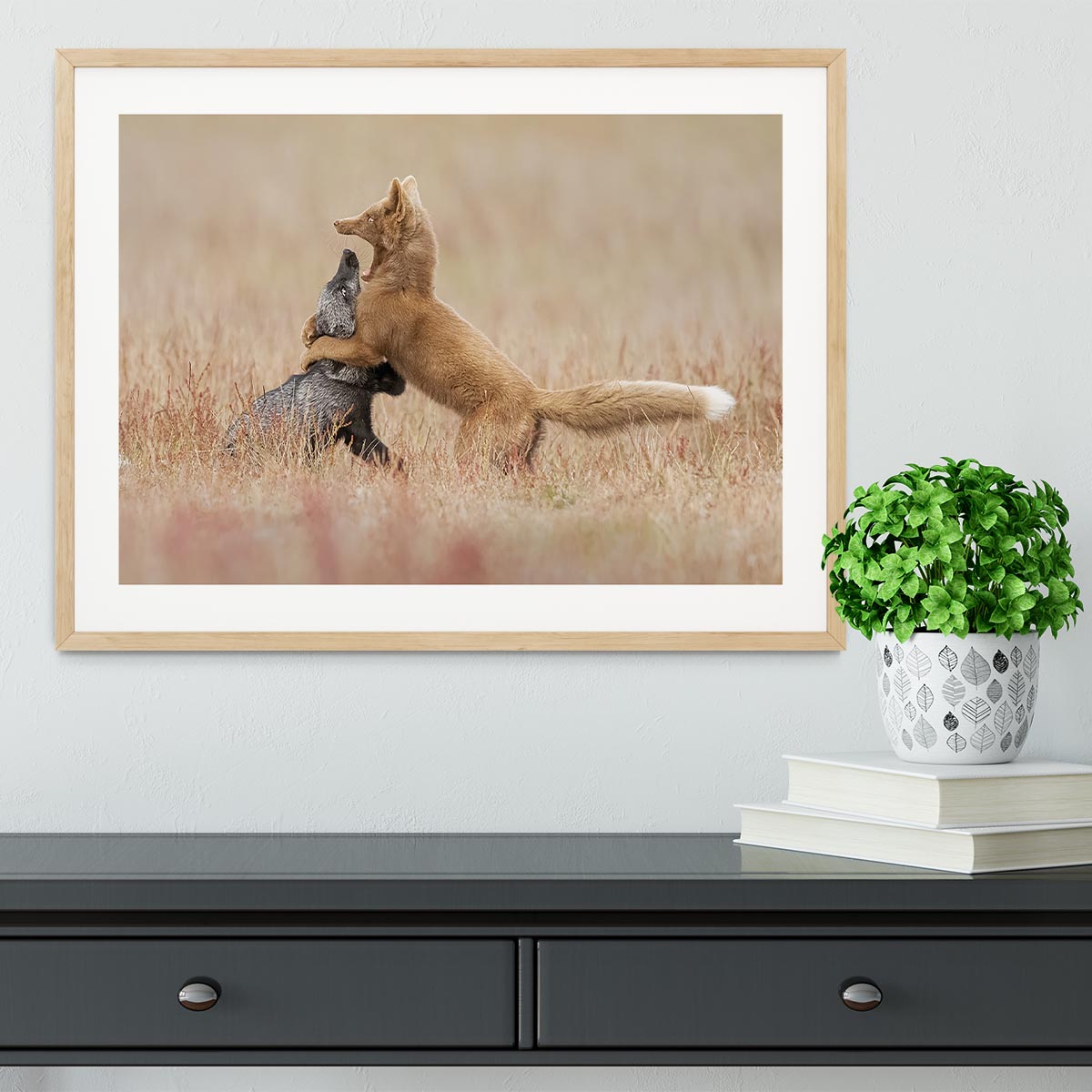 Two Foxes Playing In The Grass Framed Print - Canvas Art Rocks - 3