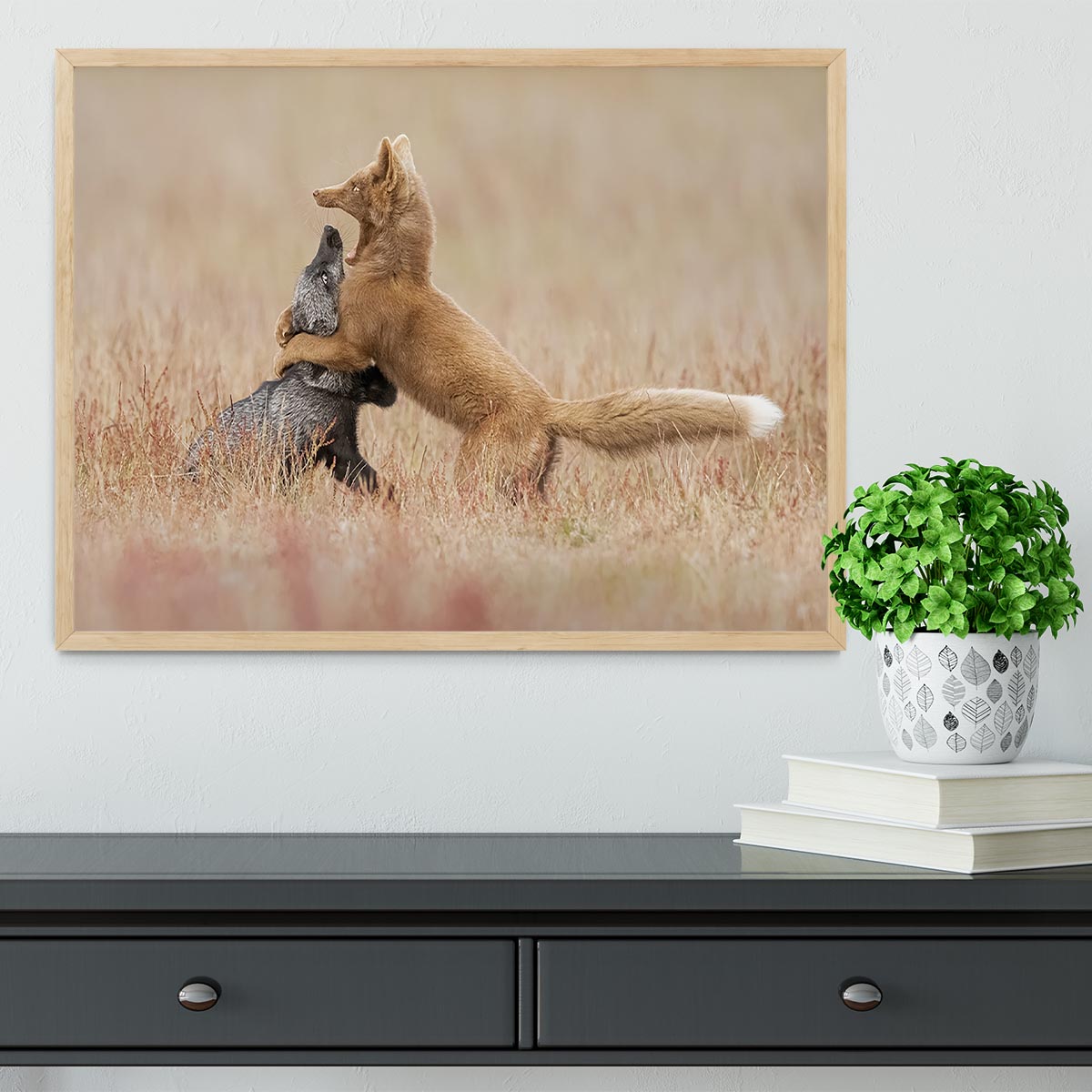 Two Foxes Playing In The Grass Framed Print - Canvas Art Rocks - 4