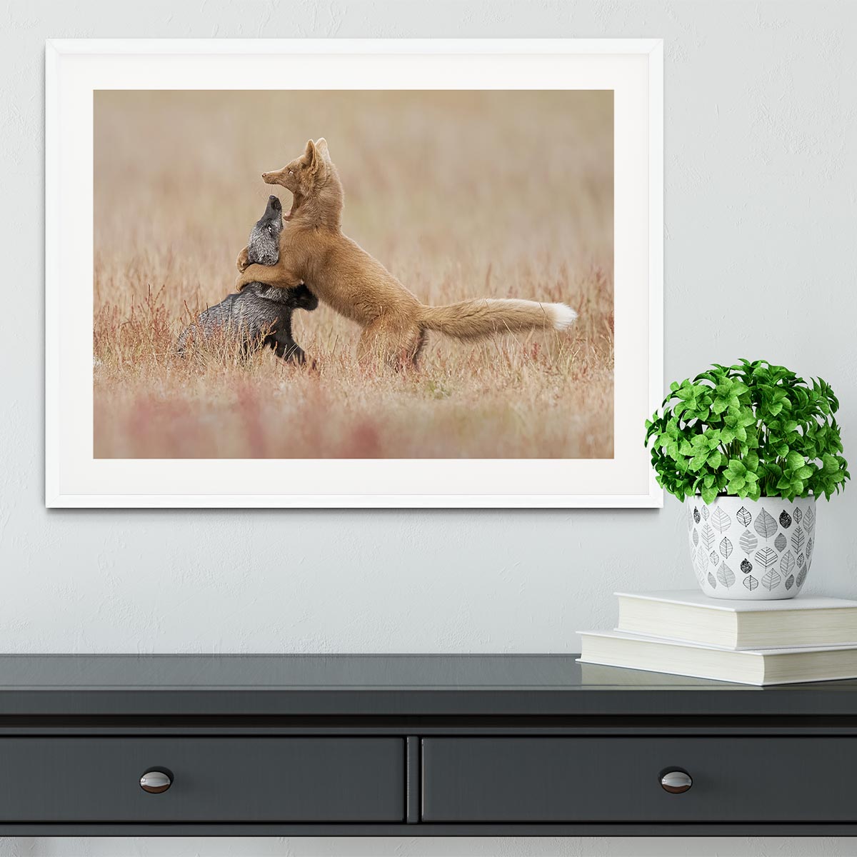 Two Foxes Playing In The Grass Framed Print - Canvas Art Rocks - 5