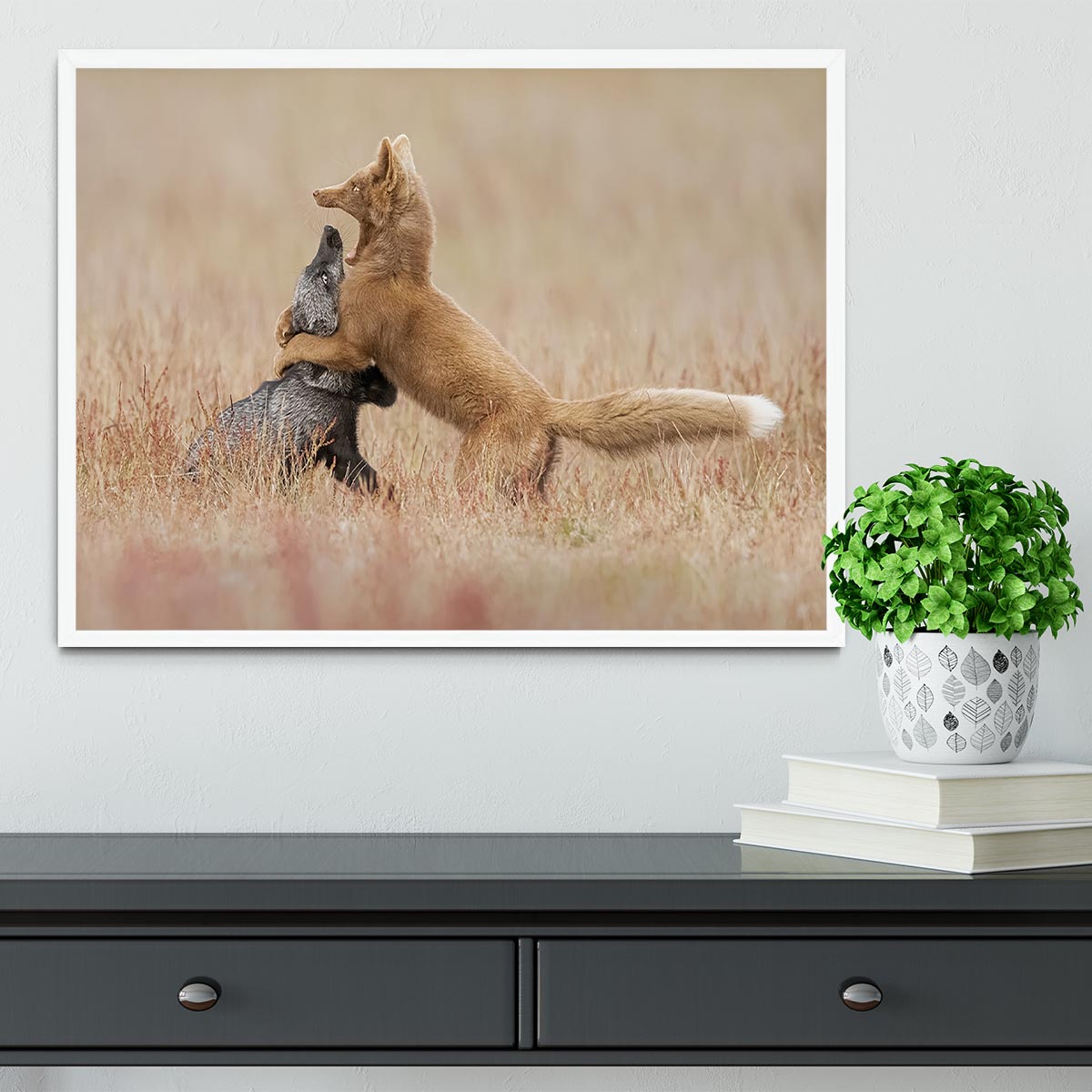 Two Foxes Playing In The Grass Framed Print - Canvas Art Rocks -6
