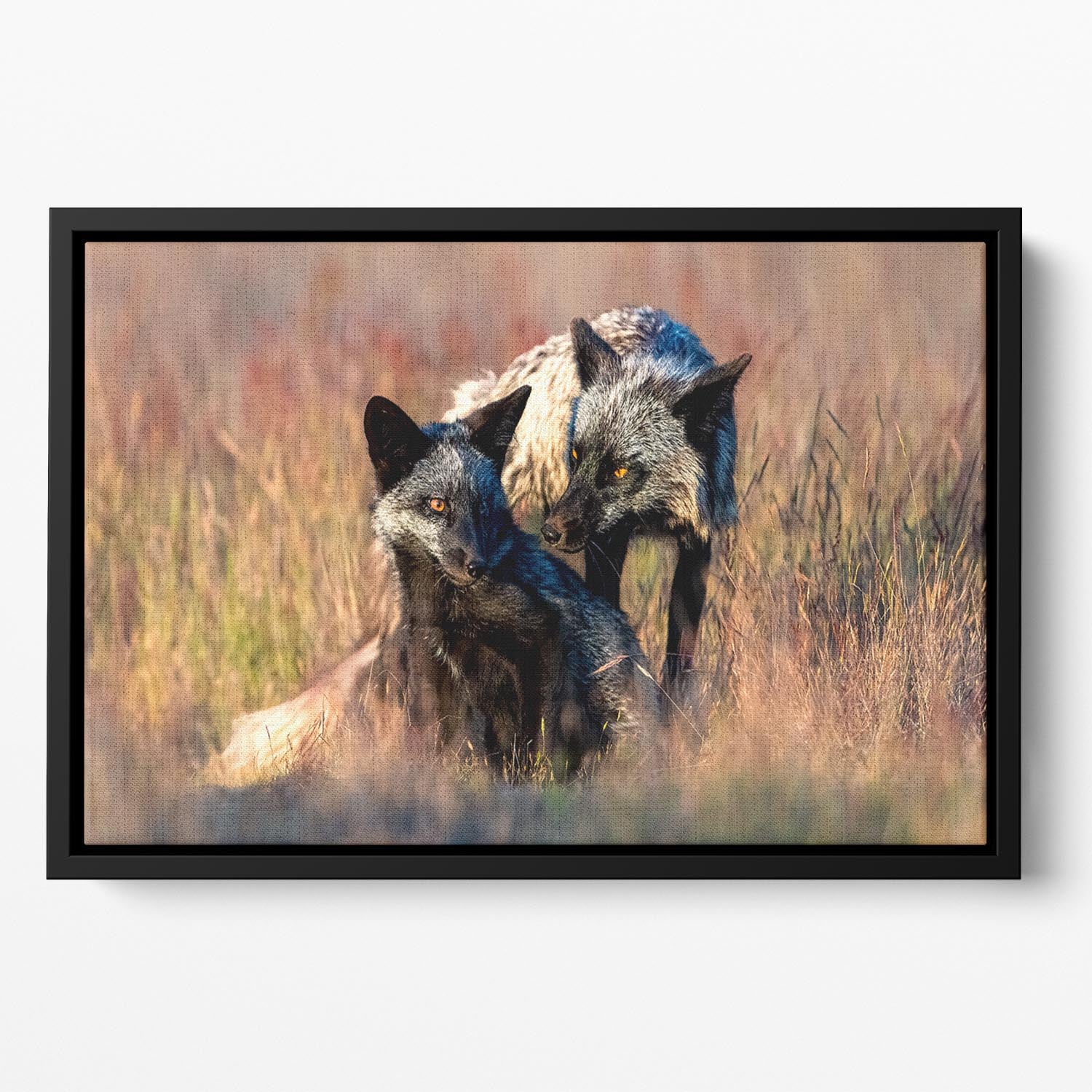 Two Black Foxes Floating Framed Canvas - Canvas Art Rocks - 2