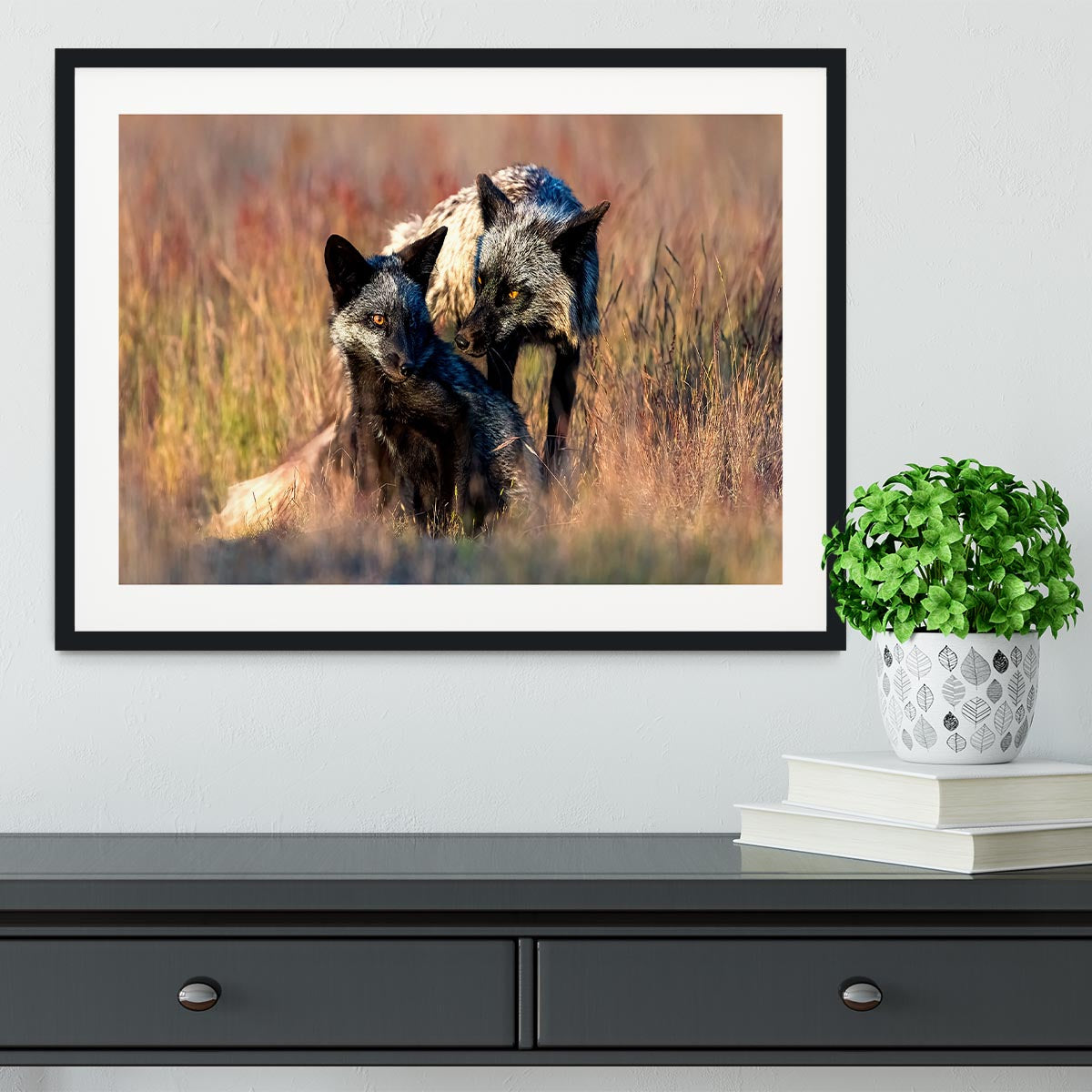 Two Black Foxes Framed Print - Canvas Art Rocks - 1