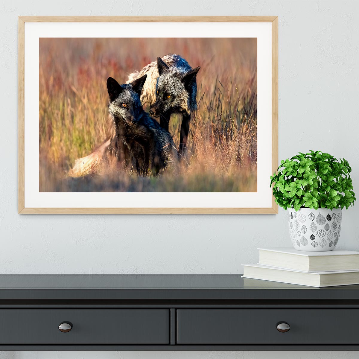 Two Black Foxes Framed Print - Canvas Art Rocks - 3