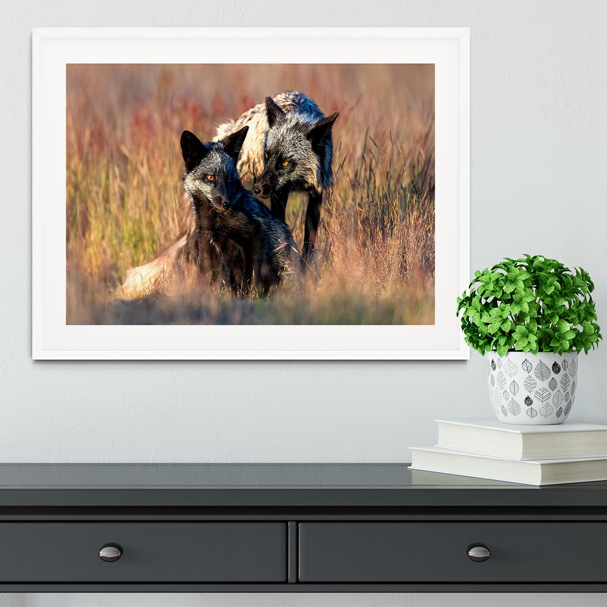 Two Black Foxes Framed Print - Canvas Art Rocks - 5