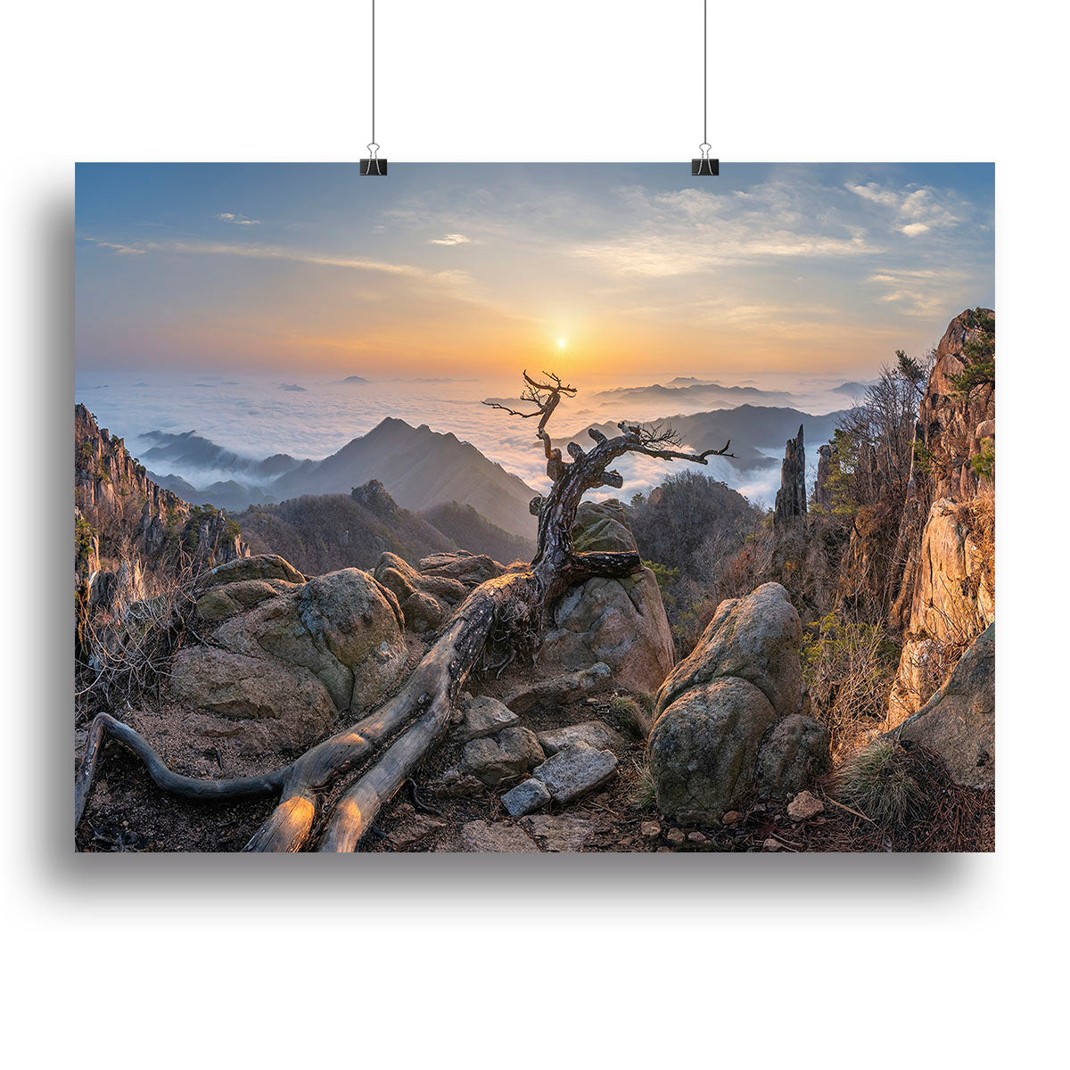 Dead pine On The Mountains Canvas Print or Poster - Canvas Art Rocks - 2