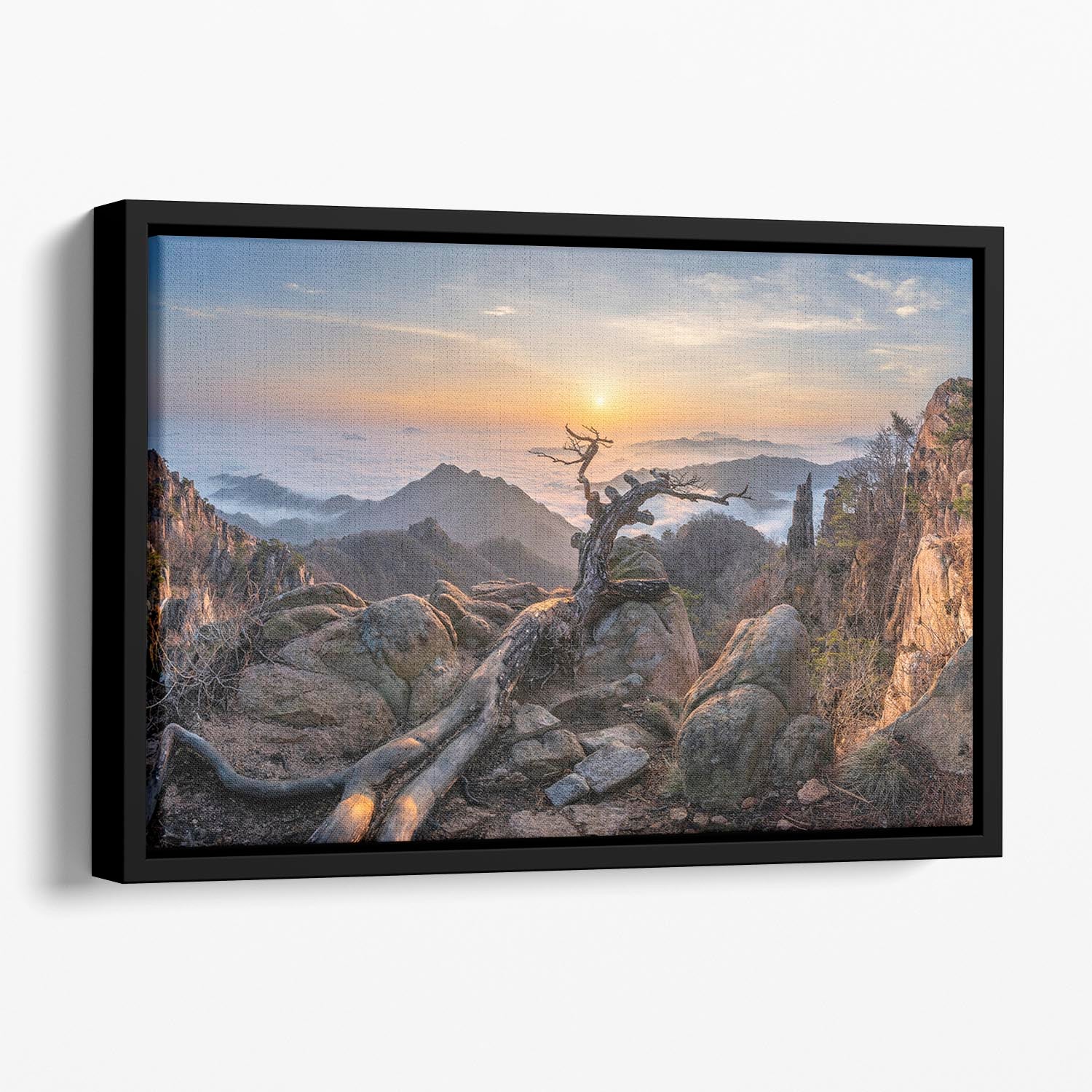 Dead pine On The Mountains Floating Framed Canvas - Canvas Art Rocks - 1