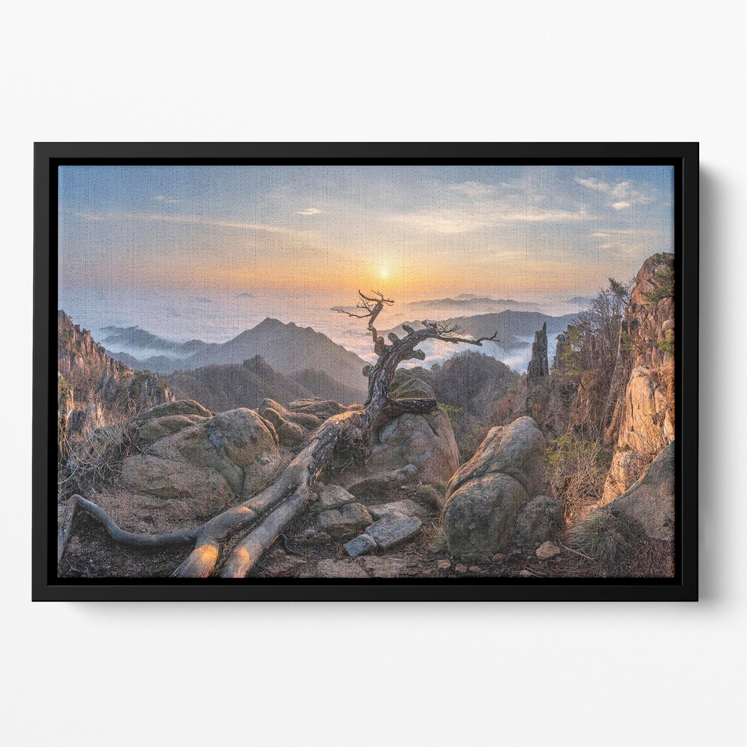 Dead pine On The Mountains Floating Framed Canvas - Canvas Art Rocks - 2