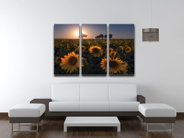 Sunflower Field 3 Split Panel Canvas Print - Canvas Art Rocks - 3