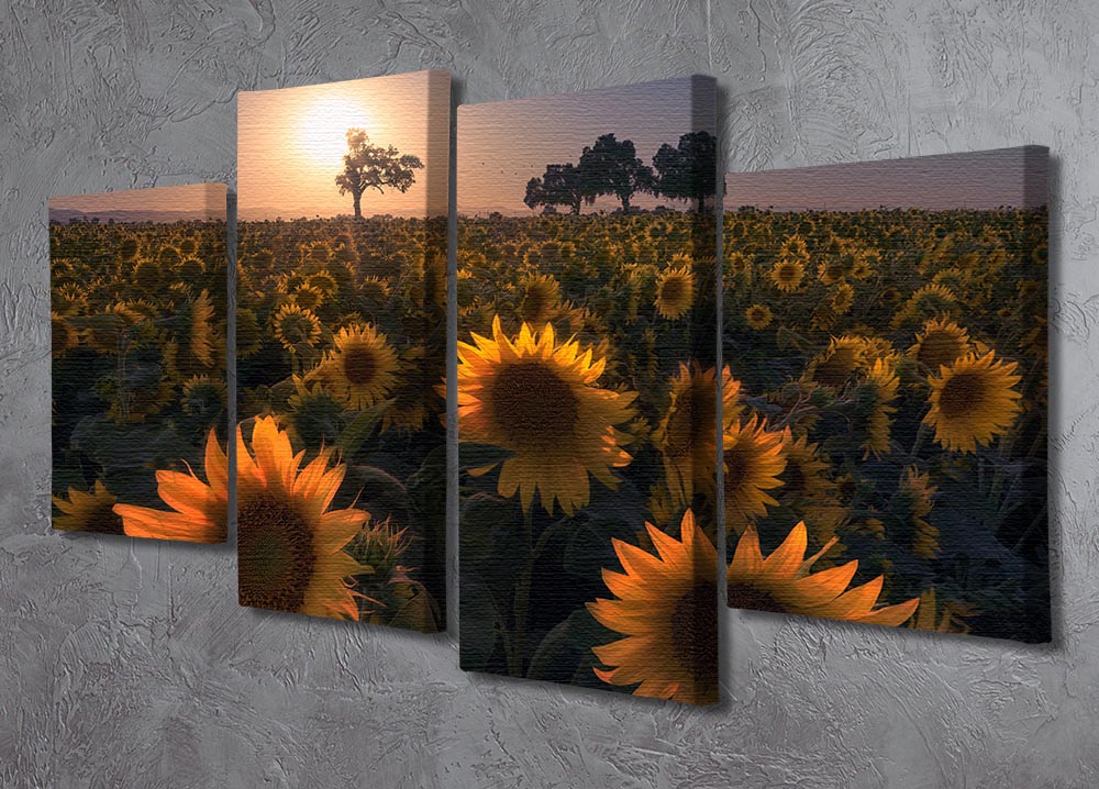 Sunflower Field 4 Split Panel Canvas - Canvas Art Rocks - 2