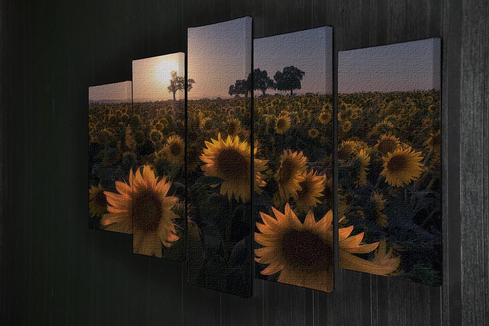 Sunflower Field 5 Split Panel Canvas - Canvas Art Rocks - 2