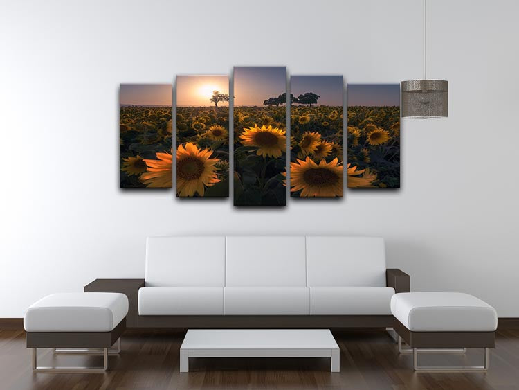 Sunflower Field 5 Split Panel Canvas - Canvas Art Rocks - 3