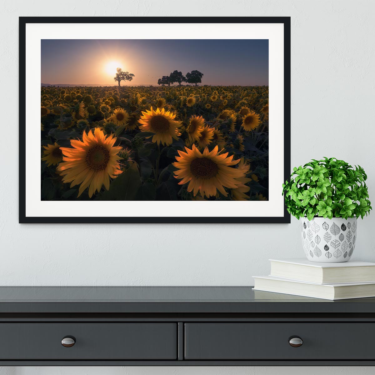 Sunflower Field Framed Print - Canvas Art Rocks - 1