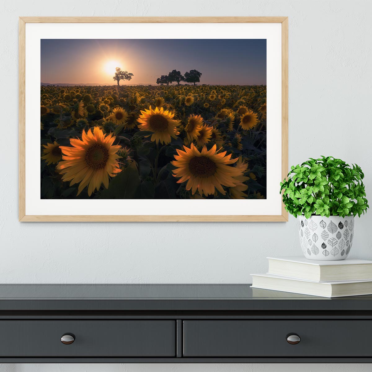 Sunflower Field Framed Print - Canvas Art Rocks - 3