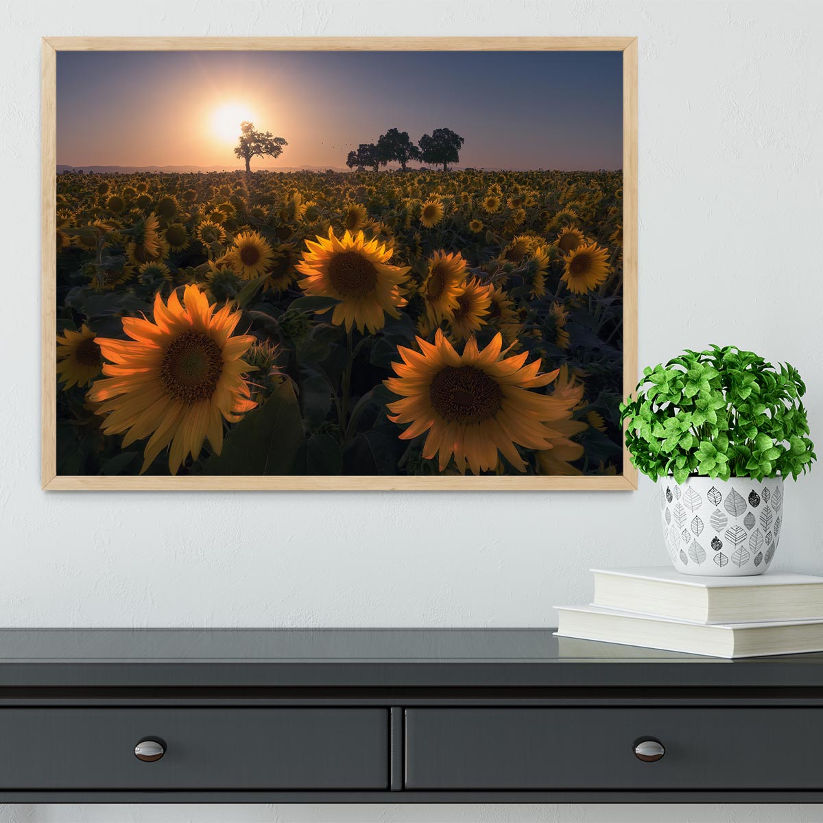 Sunflower Field Framed Print - Canvas Art Rocks - 4
