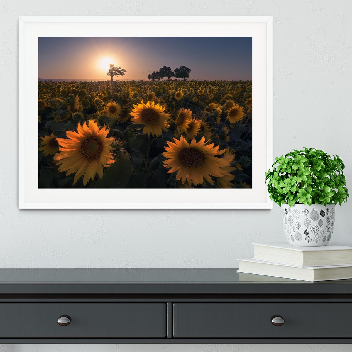Sunflower Field Framed Print - Canvas Art Rocks - 5