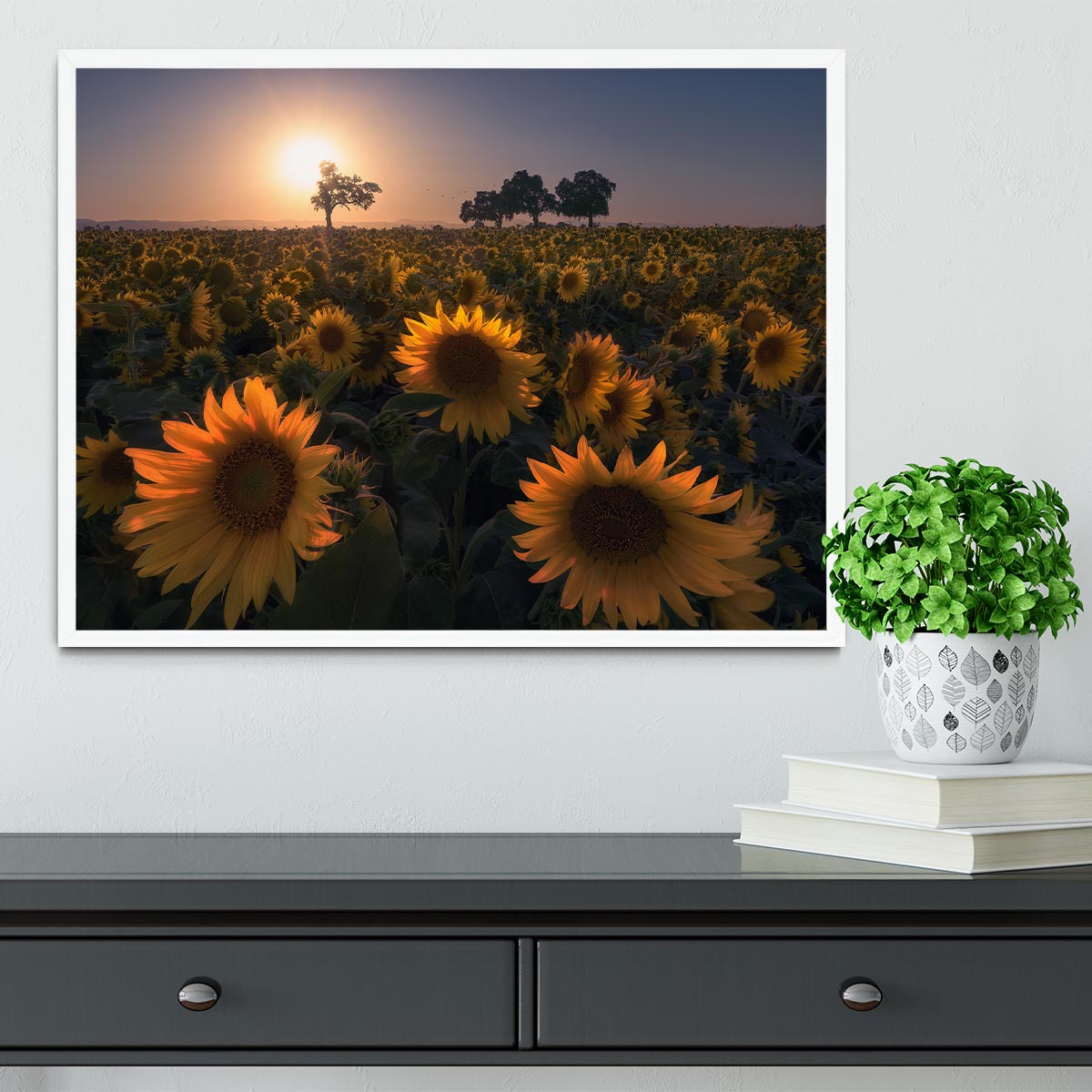 Sunflower Field Framed Print - Canvas Art Rocks -6