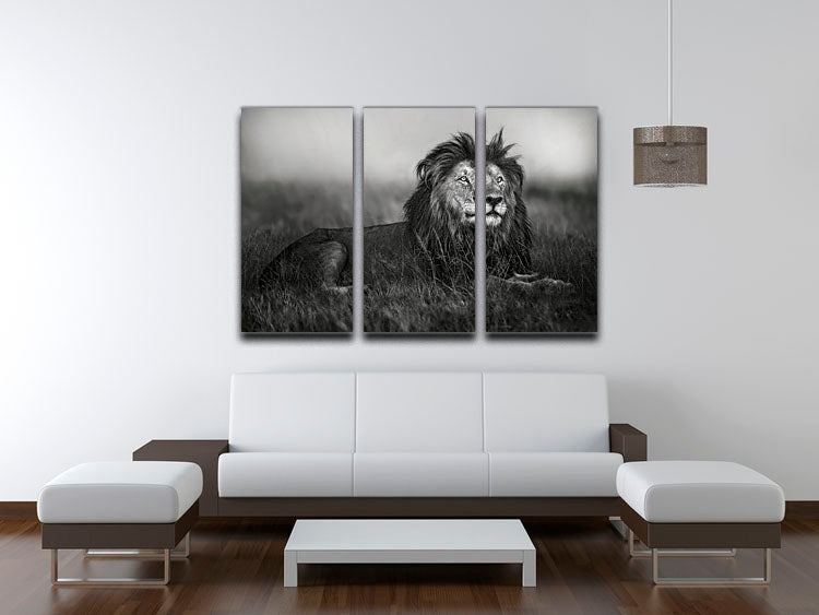 Greyscale Lion 3 Split Panel Canvas Print - Canvas Art Rocks - 3