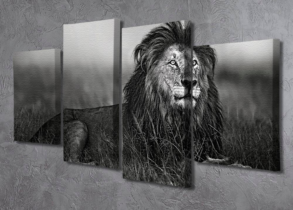 Greyscale Lion 4 Split Panel Canvas - Canvas Art Rocks - 2