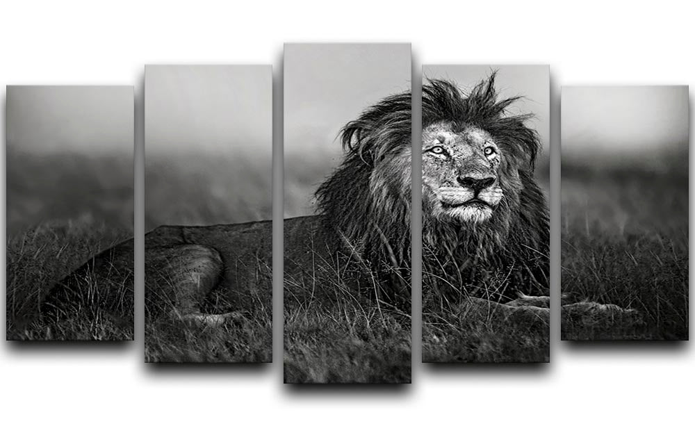 Greyscale Lion 5 Split Panel Canvas - Canvas Art Rocks - 1