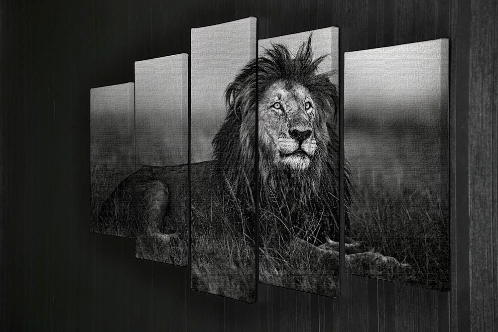 Greyscale Lion 5 Split Panel Canvas - Canvas Art Rocks - 2