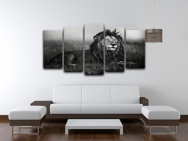 Greyscale Lion 5 Split Panel Canvas - Canvas Art Rocks - 3