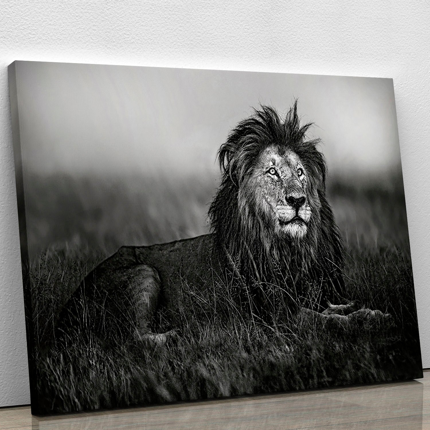 Greyscale Lion Canvas Print or Poster - Canvas Art Rocks - 1
