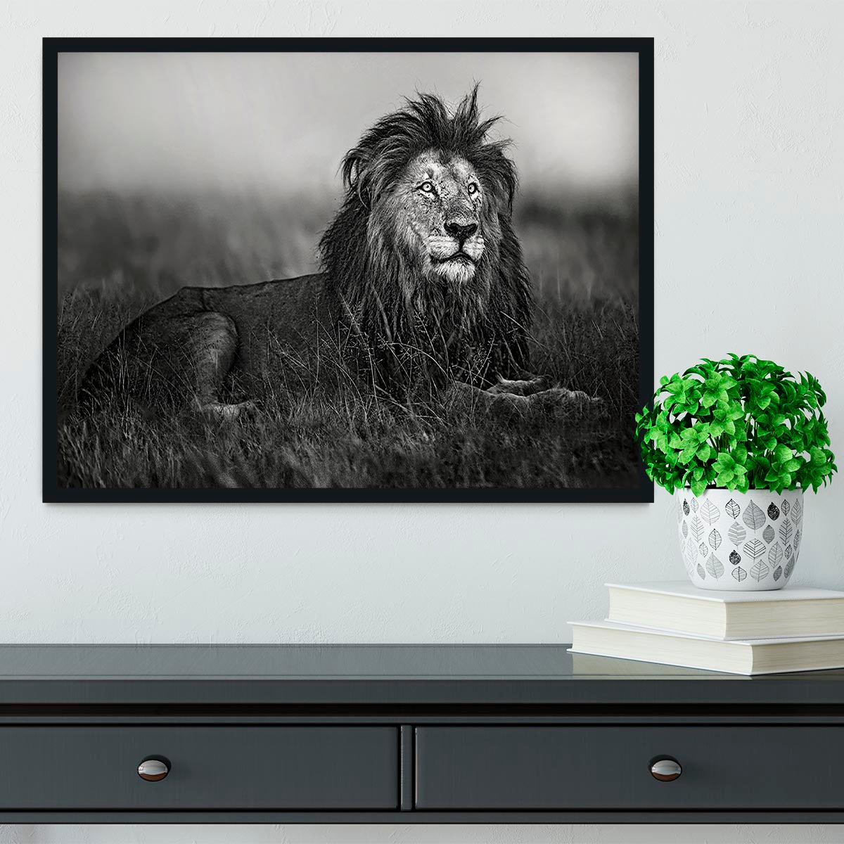 Greyscale Lion Framed Print - Canvas Art Rocks - 2