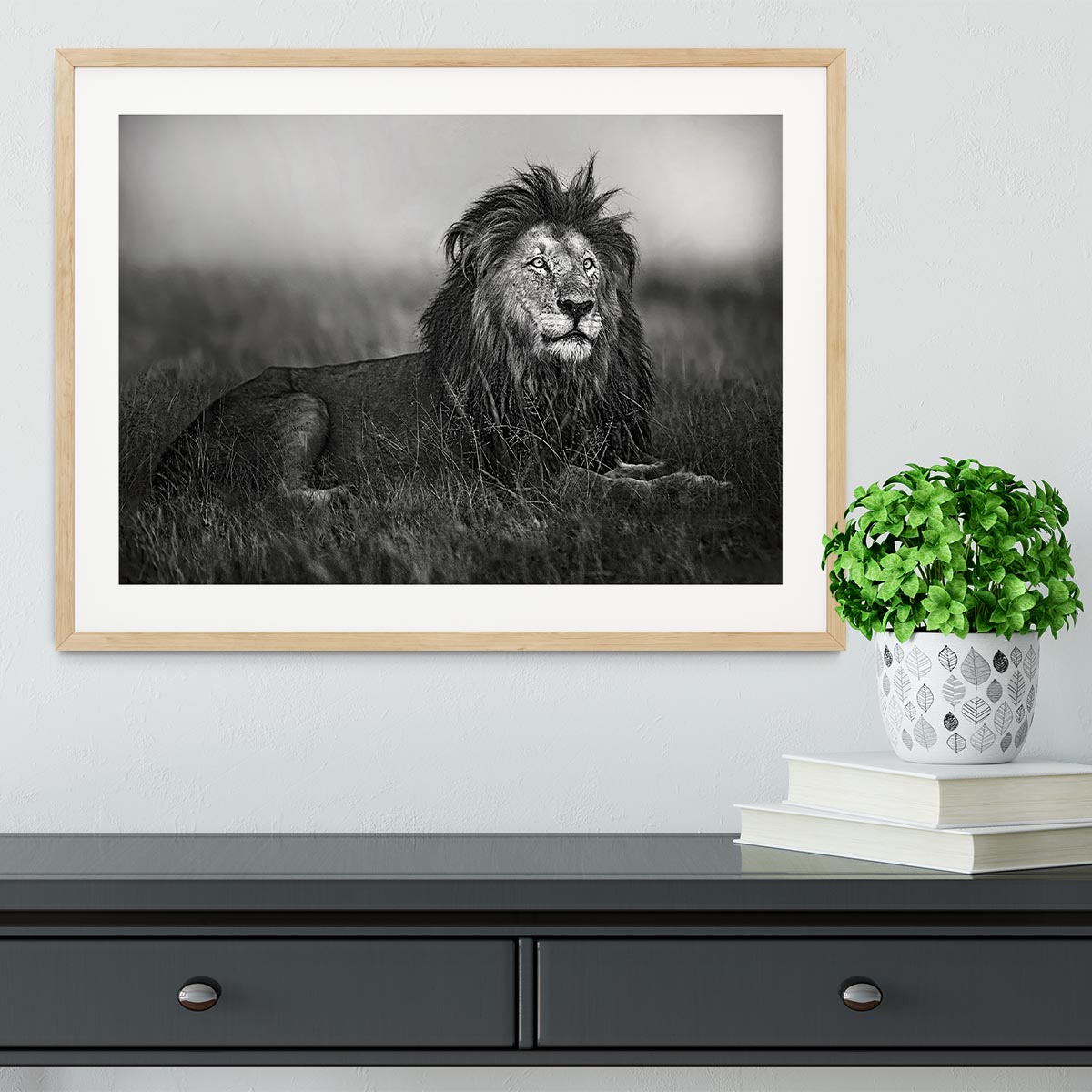 Greyscale Lion Framed Print - Canvas Art Rocks - 3