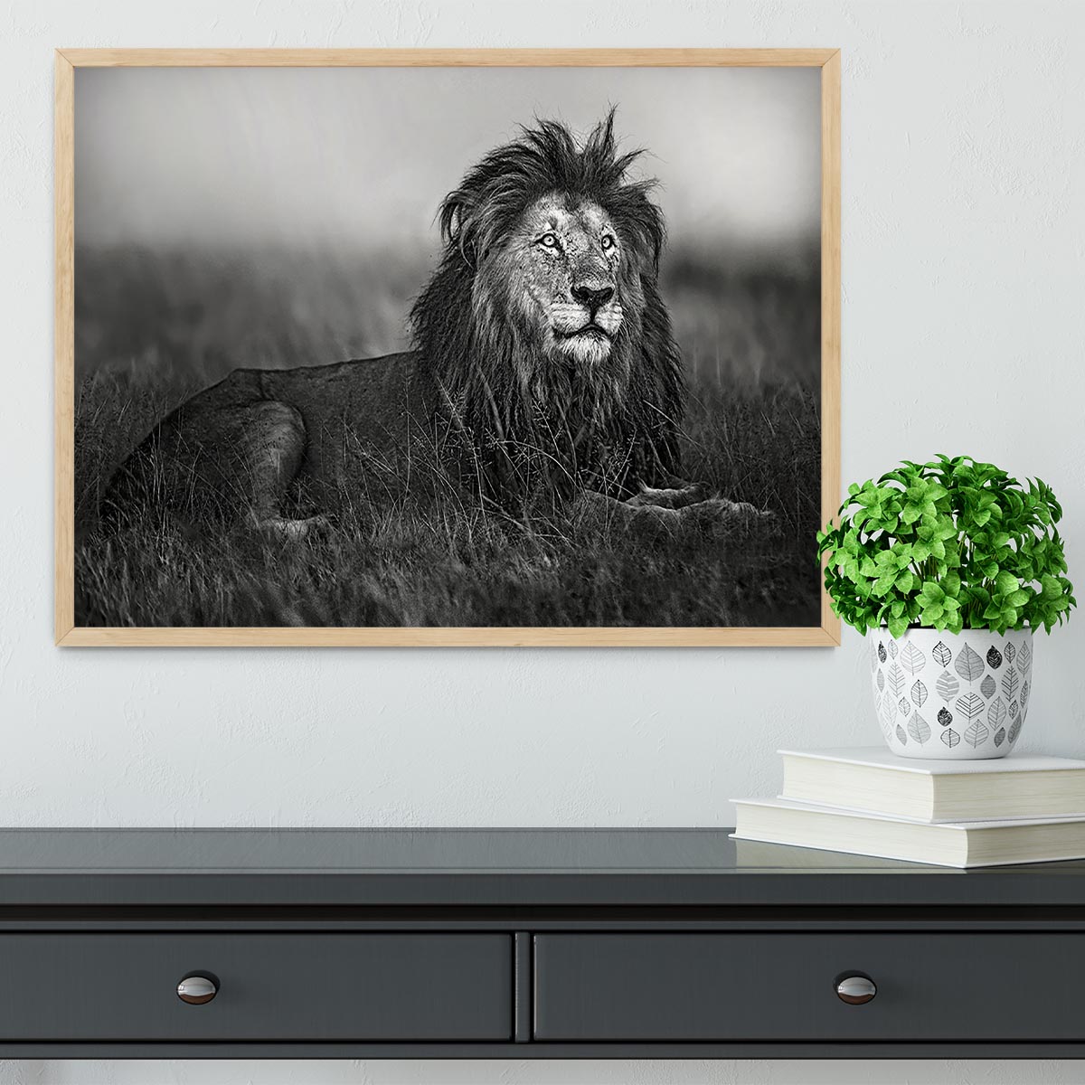 Greyscale Lion Framed Print - Canvas Art Rocks - 4
