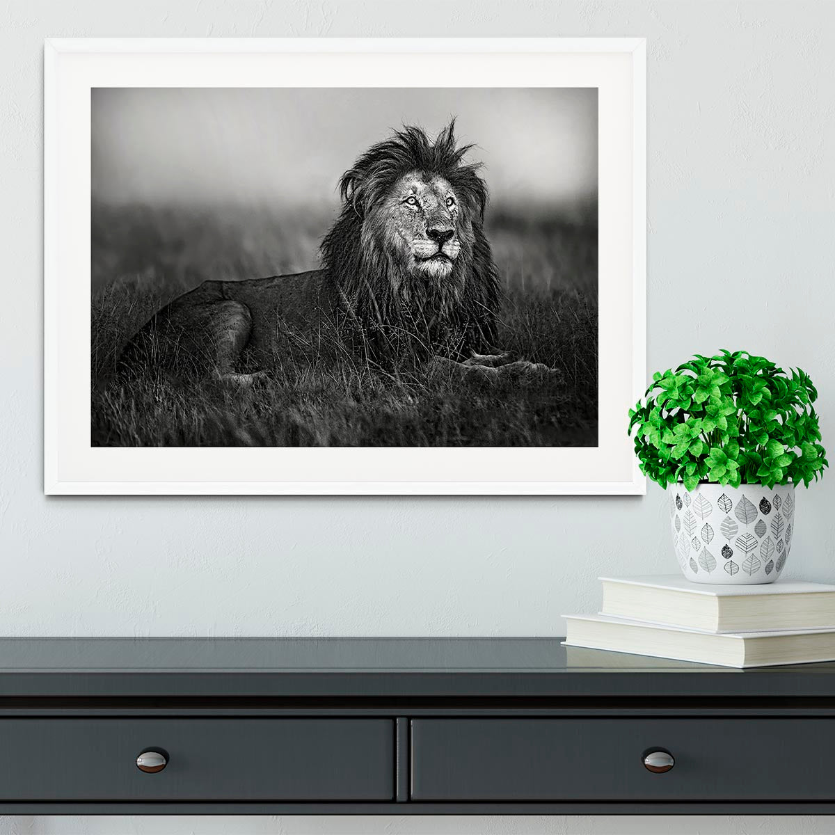 Greyscale Lion Framed Print - Canvas Art Rocks - 5