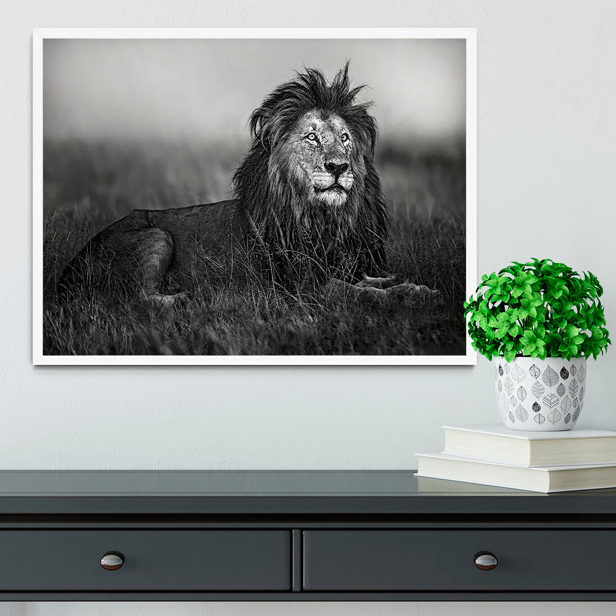 Greyscale Lion Framed Print - Canvas Art Rocks -6