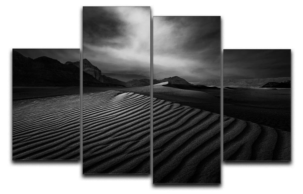 Desert In Greyscale 4 Split Panel Canvas - Canvas Art Rocks - 1