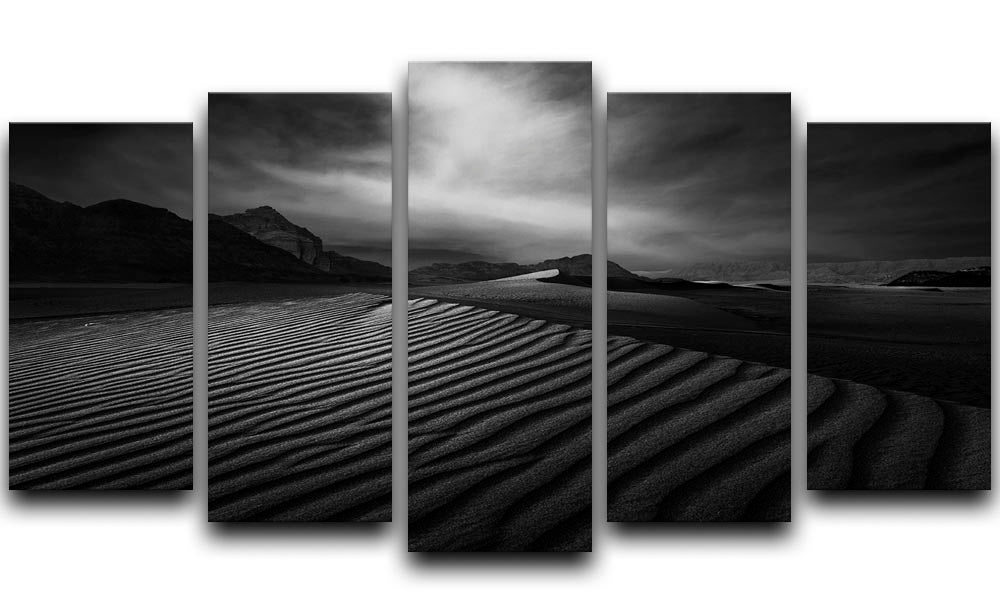 Desert In Greyscale 5 Split Panel Canvas - Canvas Art Rocks - 1